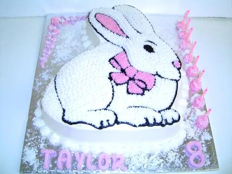 Cottontail Bunny