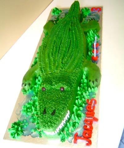 Crocodile