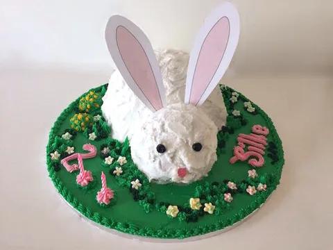 3-D Bunny
