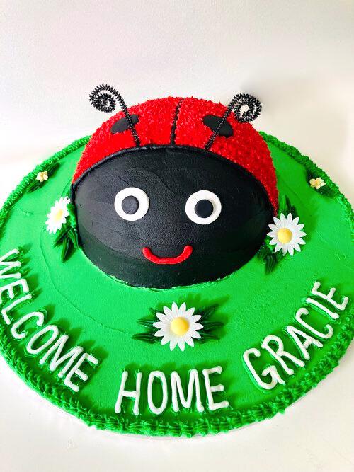 Ladybird