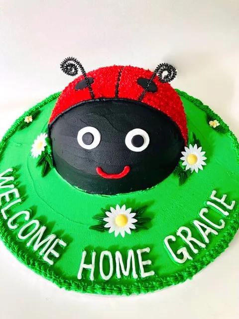 Ladybird