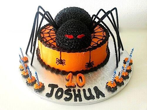 Spider