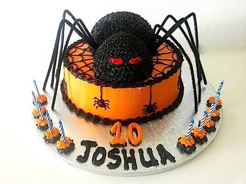 Spider