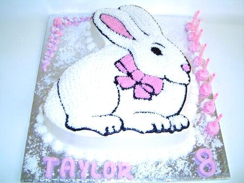 Cottontail Bunny