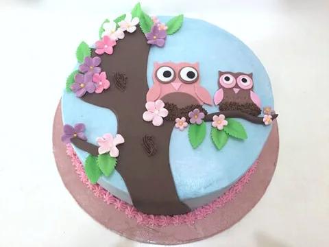 Two Owls